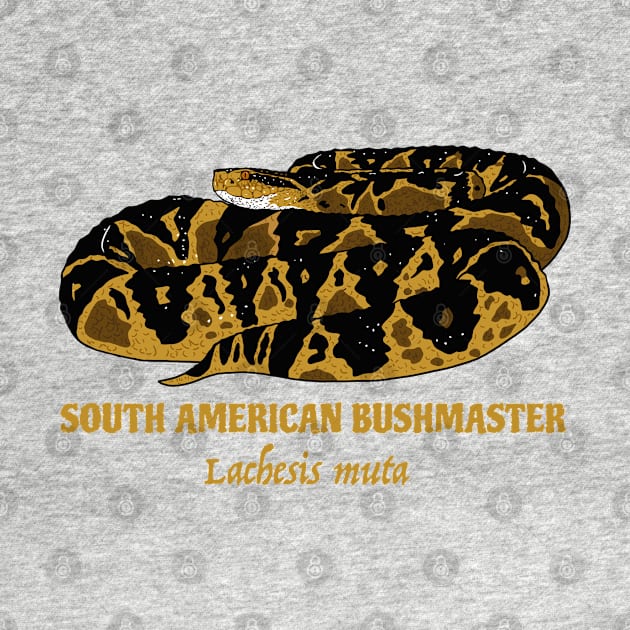 South American Bushmaster Lachesis Muta by SNK Kreatures